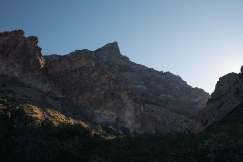 microcosmicobservations: Morning hike at Rock Canyon Facebook | Instagram | YouTube | Shop