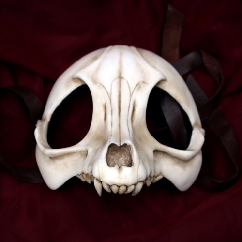 aishavoya:Handmade skull masks, resin cast with leather straps and fabric backings. Available at ais