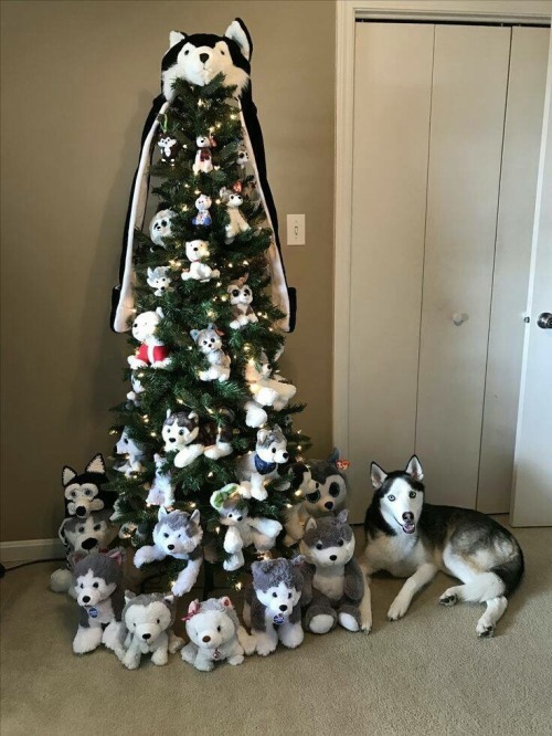 southernsideofme: When doggo gets his own tree 
