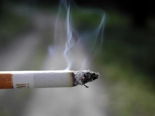 Nicotine normalizes brain deficits key to schizophreniaA steady stream of nicotine normalizes geneti