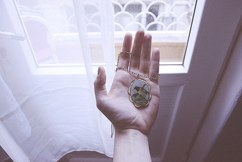 fox-corner:  untitled by ilaydatunca on Flickr.