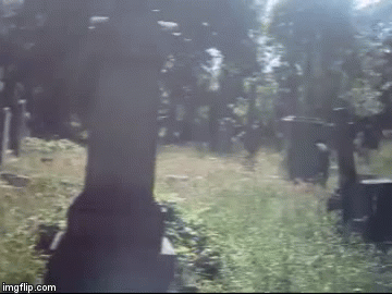 angel-bruises:Some lovely graves from my ‘cemetery picnic’ video