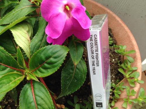 gtbrecs:  Cassette Fighter&rsquo;s The Color of the Year is now available to pre-order! Purchase