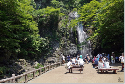 夏天就醬玩 Yahoo奇摩旅遊 四季皆美 大阪明治森林箕面國定公園 箕面瀑布 與箕面名物楓葉天婦羅