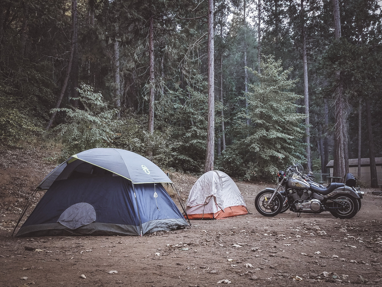 theriderwriter:  ON THE ROAD: Yosemite National Park, CA | 09.29.2018
