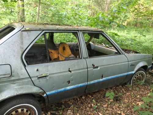 moonflaws: There’s an old abandoned car in the woods behind my house and it looks like it has 