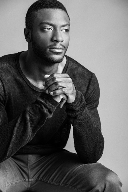 Aldis Hodge 2013