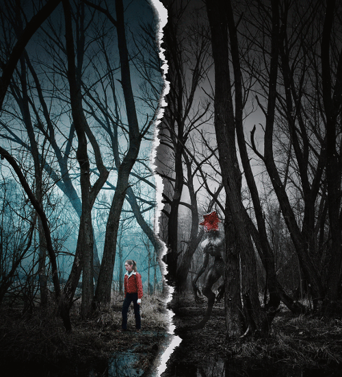 notahammer:It is all bullshit!It has nothing to do with Barb and she’s missing.And something terribl