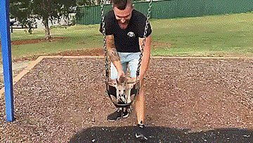 tastefullyoffensive:  When your best friend is a baby kangaroo. [video]