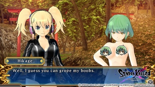 Senran Kagura: Shinovi Versus review for PS Vita - Gaming Age