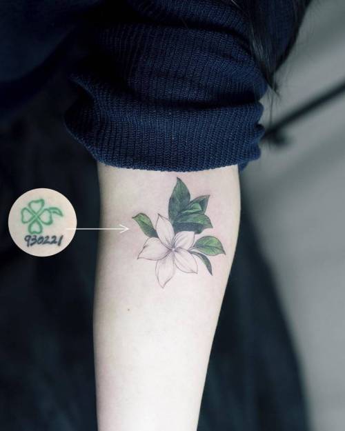 Vivian Turini | Tattoo Artist