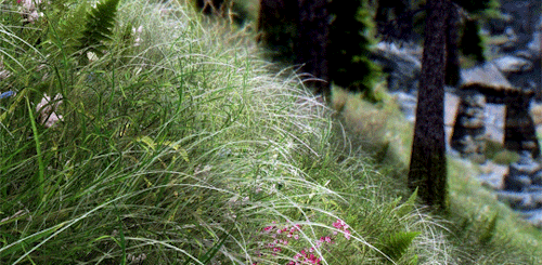 fairyberries:trying to acquire the arcane knowledge of gif making