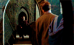 remusjohnslupin:  harry potter meme: seven relationships [2/7] » remus &amp;
