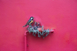 itscolossal:  More: Site-Specific Street Interventions by Ernest Zacharevic [11 images] 