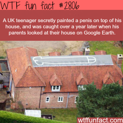 wtf-fun-factss:  Funniest pranks, UK - WTF