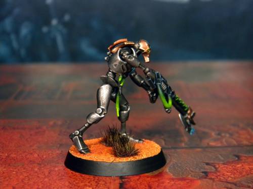 The ninth Necron Warrior of Nihilakh Dynasty.