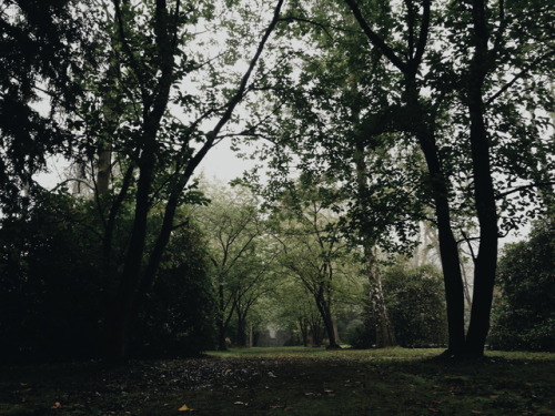 morgenrothe:Dortmund, Main Cemetery - 23.09.17