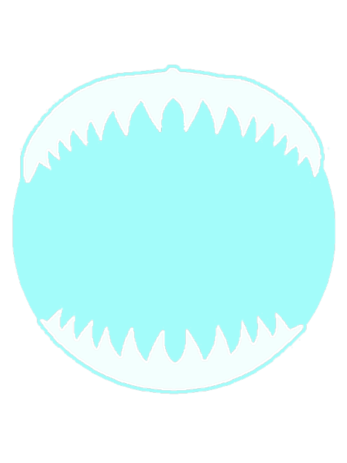 Can I Have Some Shark Based Masks /nf