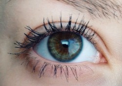 Stunnerly:  Wow Who Knew Eyes Could Be Beautiful 