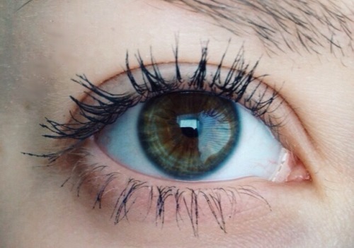XXX stunnerly:  wow who knew eyes could be beautiful photo