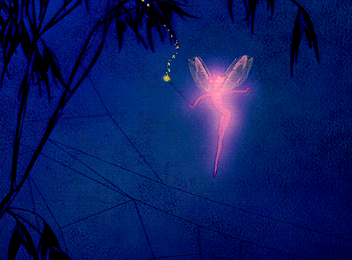 Why Can't I Just Be A Fairy