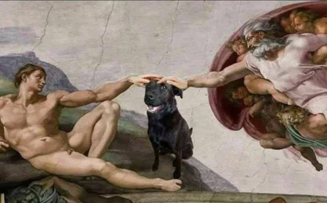 Classical Shits