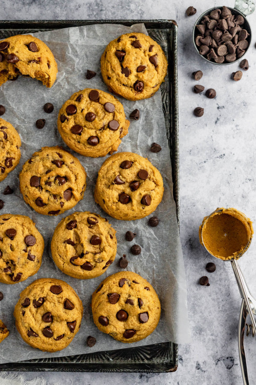 foodffs:  Chocolate Chip Pumpkin Cookies Recipe source: Marsha’s Baking Addiction