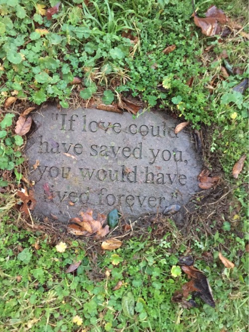 weallheartonedirection:  I thought I felt something hard underneath the grass.