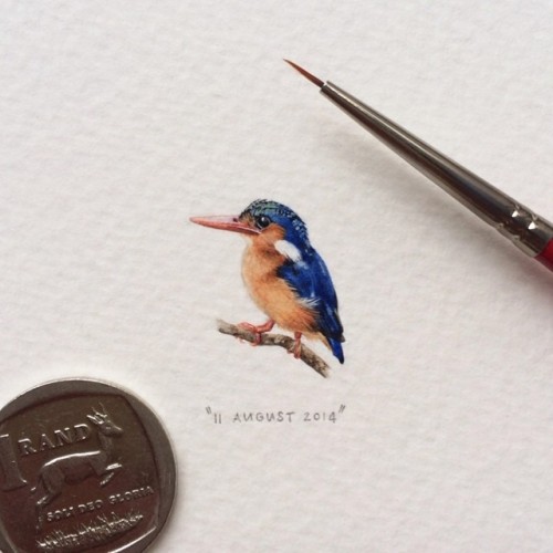 garabating: Lorraine Loots Extraordinary miniature paintings by Lorraine Loots | Tumblr | Instagram