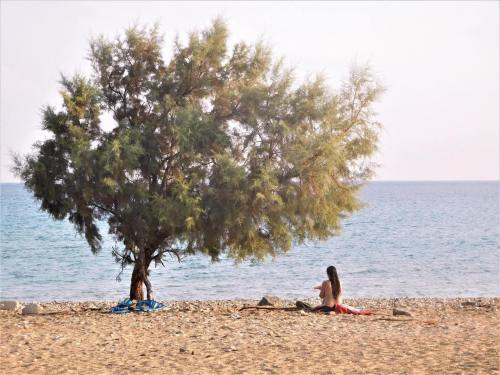 Gavdos fabulous island (south of Crete)