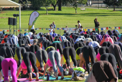 yeswaitforit:  oooooooh this is why everyone likes yoga 