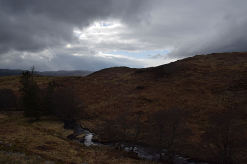 Loch Ordie WalkJust like last year, I decided to spend my birthday hiking up to Loch Ordie. It took 