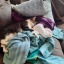 blanketcat31