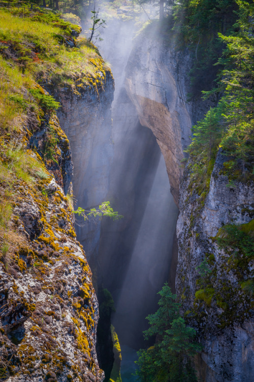 woodendreams:  Canada (via by Jason Hatfield) 