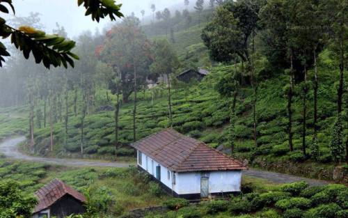 kerala tourist places to visit