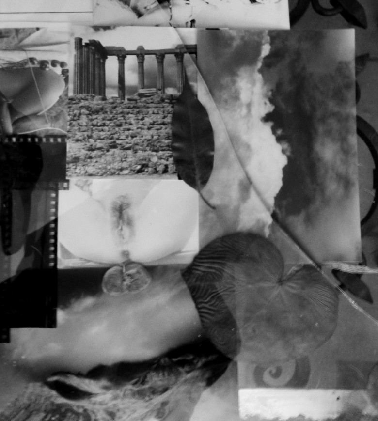 spectrumvivace:  Diana Inside
