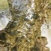 bekina62: