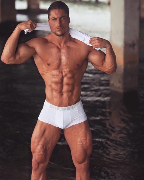 Adonis Files
