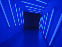 winterfellis:  Dan Flavin at LACMA by hans.munk