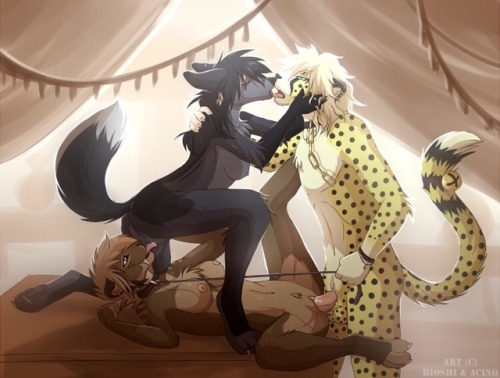 cuddlesthedrag0n: Bisexual threeway yiff (request)