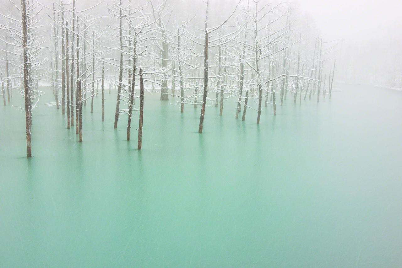 4quarius:  Magical pond that changes color with the weather  Kent Shiraishi took