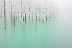 nirvanic-dreamer: Magical pond that changes color with the weather  Kent Shiraishi took these photos of the Blue Pond, a beautiful body of water in Hokkaido, Japan. Blue Pond receives so much attention because of its shimmering blue hue, which changes