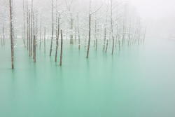 4Quarius:  Magical Pond That Changes Color With The Weather  Kent Shiraishi Took