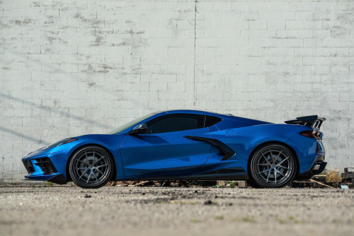 No excuses. Greg Kelson’s Elkhart Blue Chevrolet C8 Corvette is tuned by Proxses Tuning, who f
