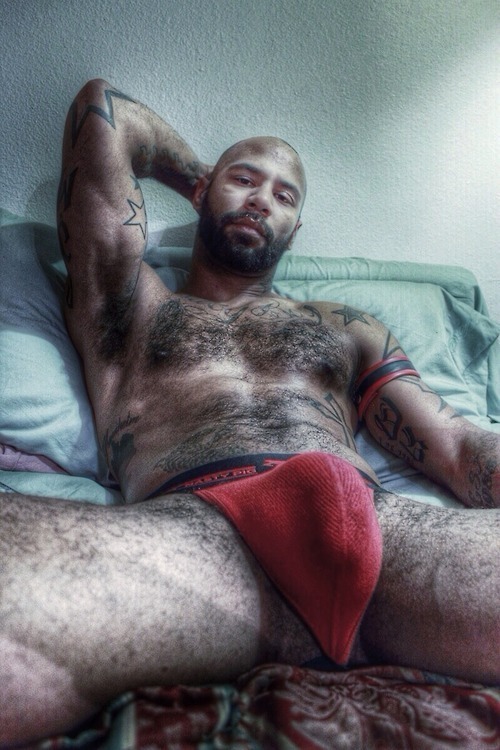 http://hairymacho.tumblr.com/