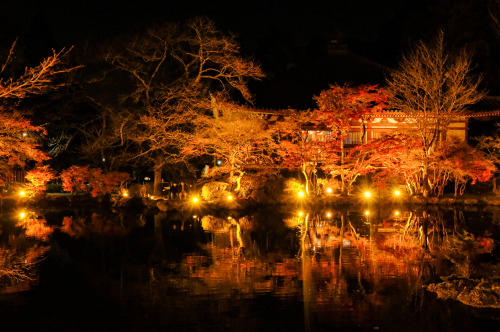 Daigoji .Kyoto (2020)醍醐寺 京都市伏見区