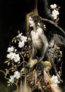 hourglassofblacktears:  Ayami Kojima 