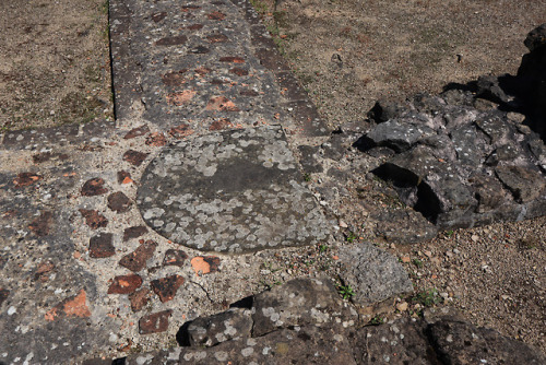 Forum and Basilica, Caerwent Roman Town, Monmouthshire, 6.5.18.At the centre of Caerwent Roman city 