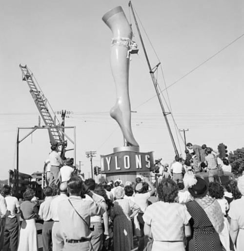 oldshowbiz:A Crowd of Perverts 2001: A Space Oddesy