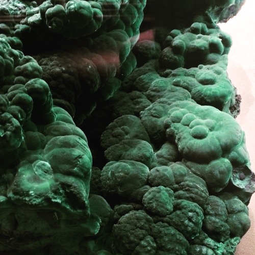 itsradishtime:i went to the hall of minerals of the american museum of natural history. i took too m